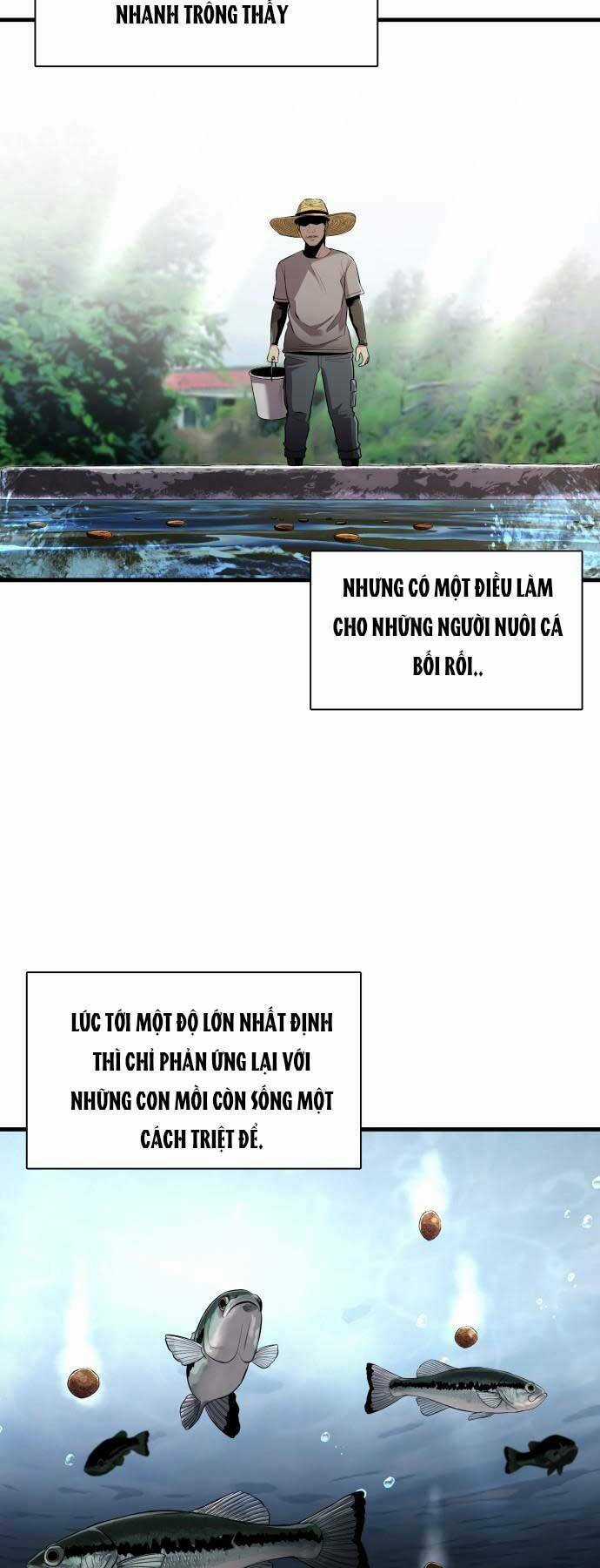 Hoá Thân Thành Cá Chapter 11 trang 5