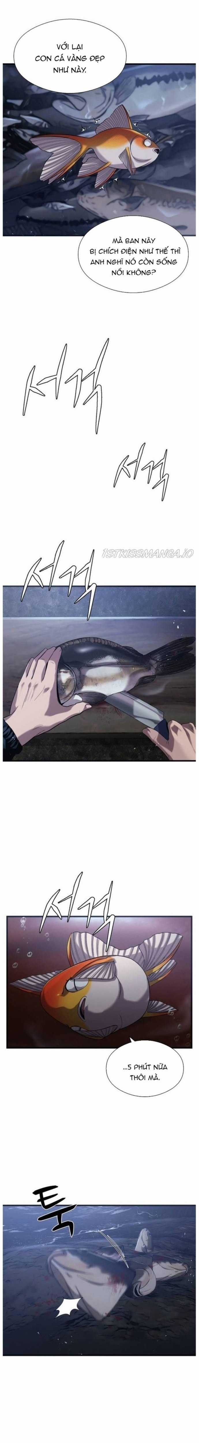 Hoá Thân Thành Cá Chapter 25 trang 12