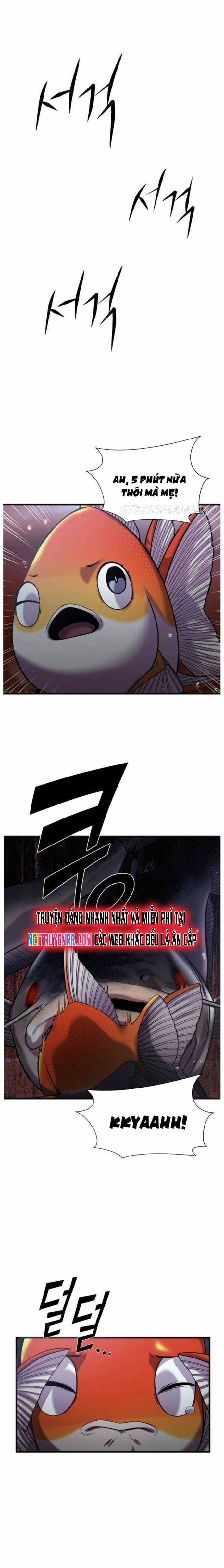 Hoá Thân Thành Cá Chapter 25 trang 13