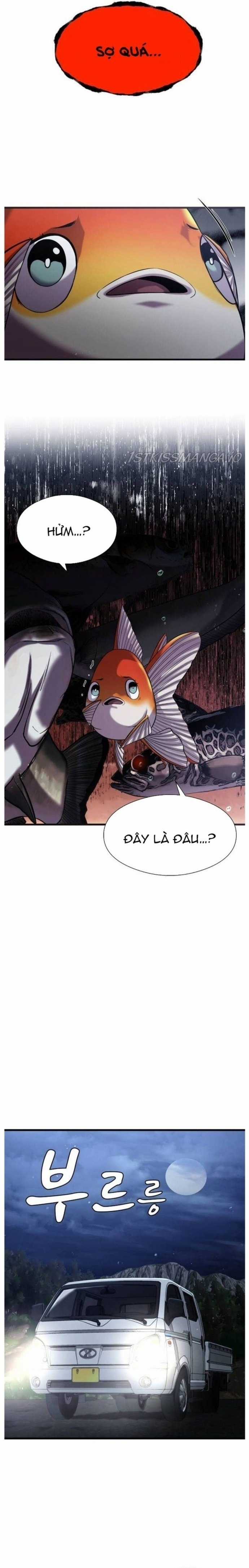 Hoá Thân Thành Cá Chapter 25 trang 14