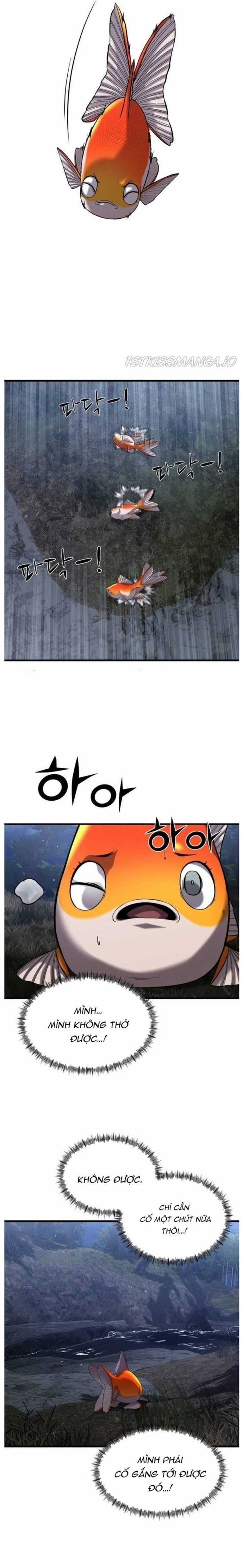 Hoá Thân Thành Cá Chapter 25 trang 18