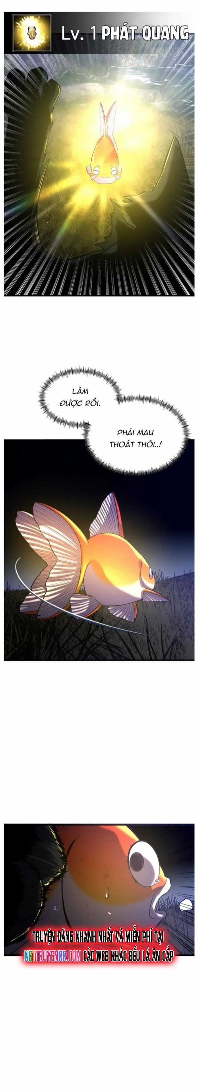 Hoá Thân Thành Cá Chapter 26 trang 11