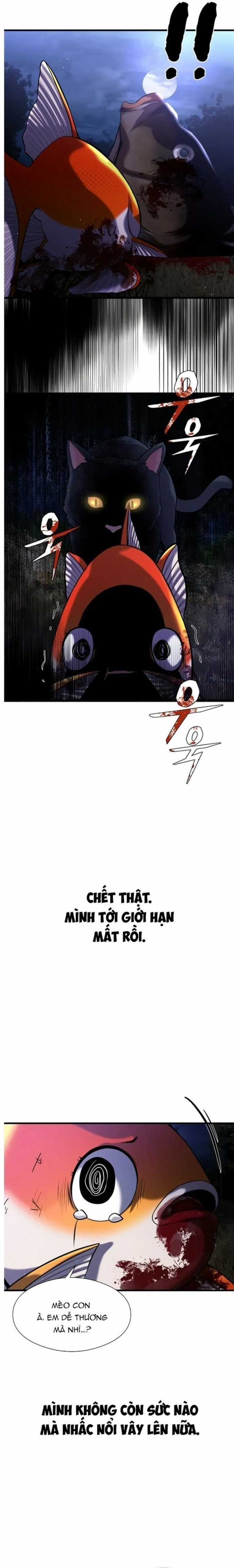 Hoá Thân Thành Cá Chapter 26 trang 18