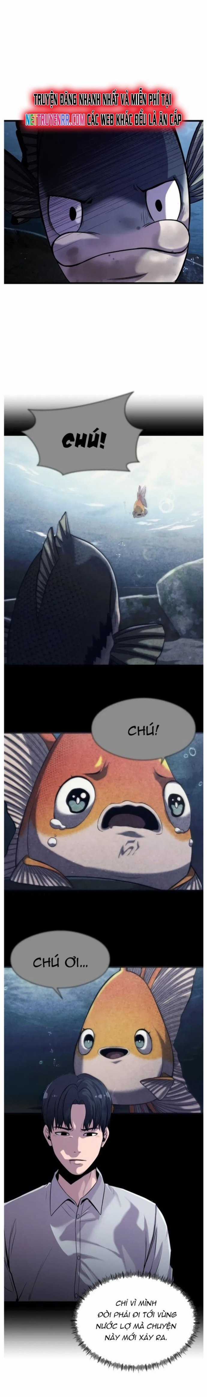 Hoá Thân Thành Cá Chapter 26 trang 7