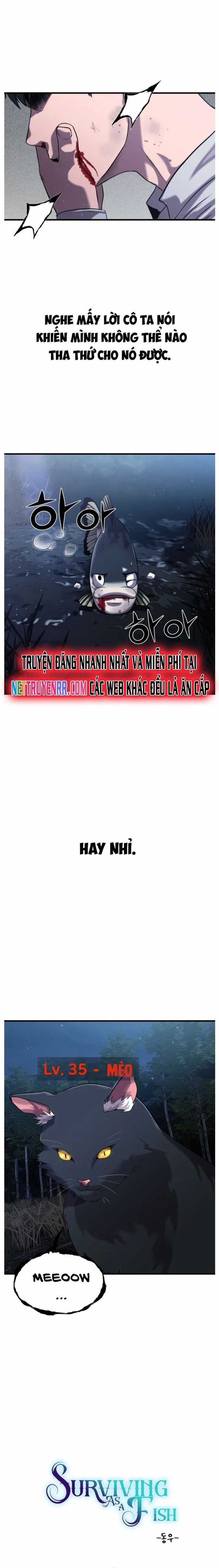 Hoá Thân Thành Cá Chapter 27 trang 5