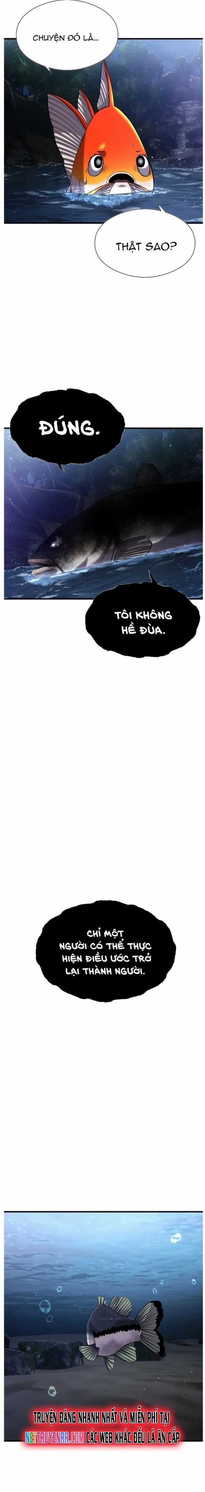 Hoá Thân Thành Cá Chapter 28 trang 14