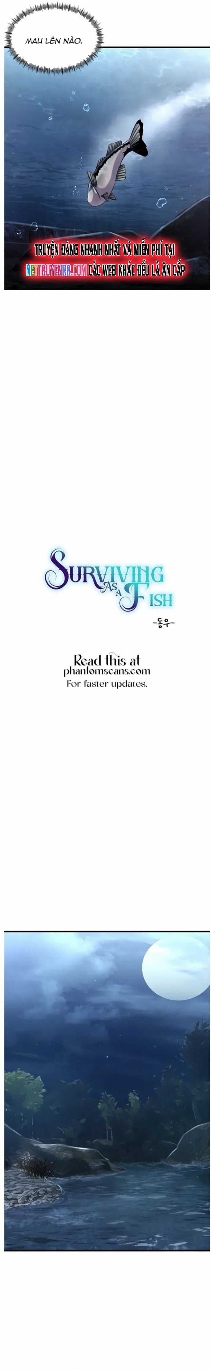 Hoá Thân Thành Cá Chapter 28 trang 3