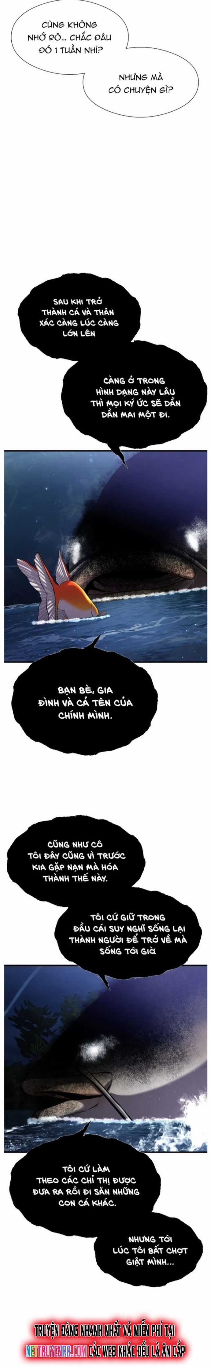 Hoá Thân Thành Cá Chapter 28 trang 6