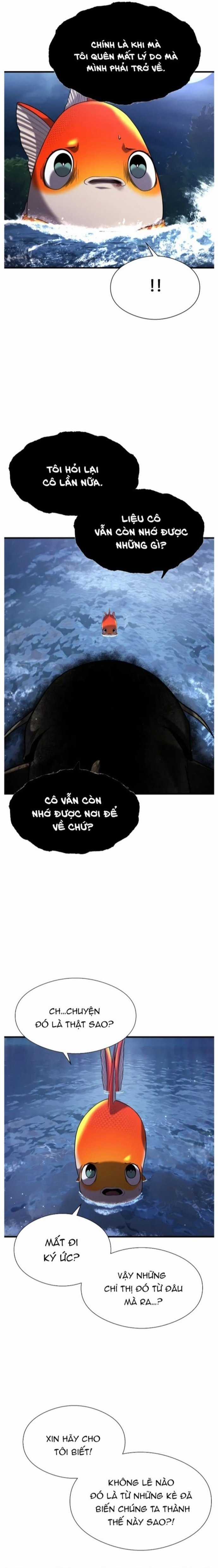 Hoá Thân Thành Cá Chapter 28 trang 7