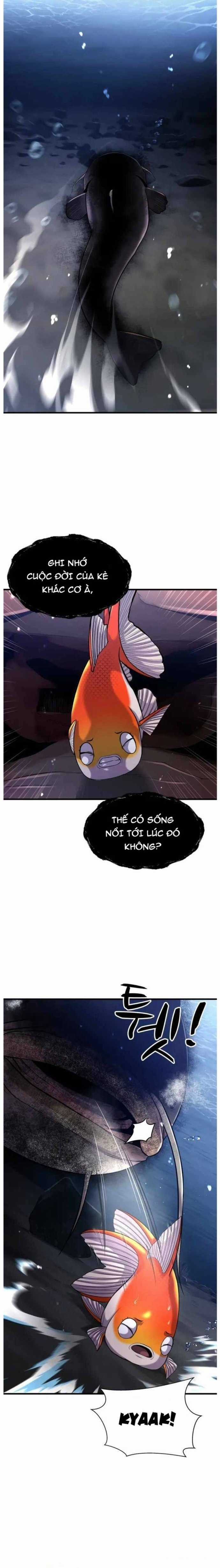 Hoá Thân Thành Cá Chapter 29 trang 3