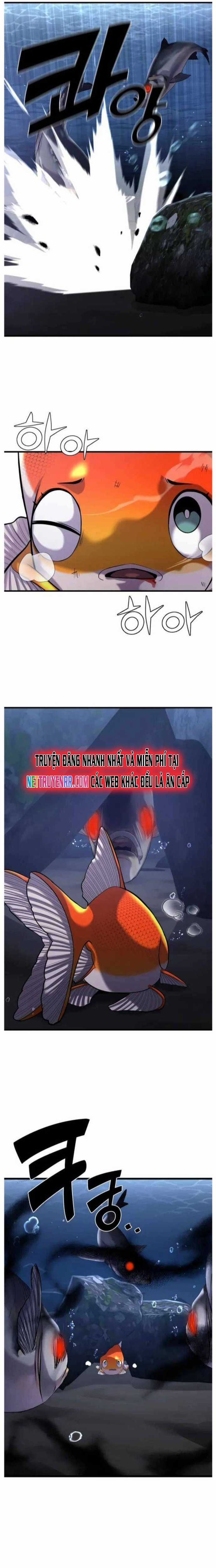 Hoá Thân Thành Cá Chapter 29 trang 8