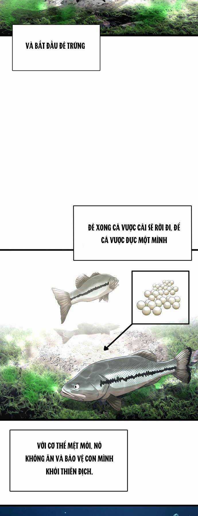 Hoá Thân Thành Cá Chapter 3 trang 22