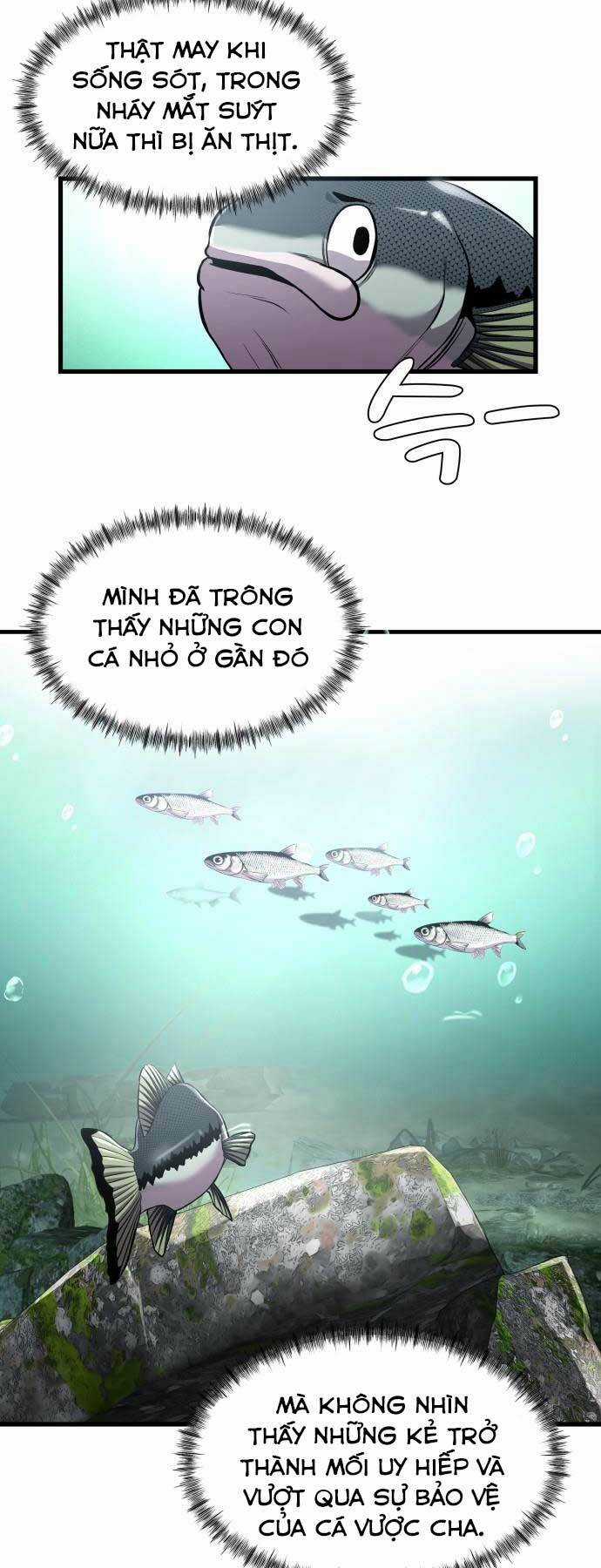 Hoá Thân Thành Cá Chapter 3 trang 29