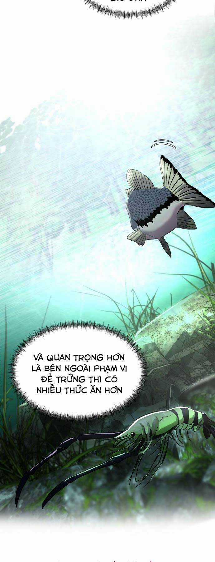 Hoá Thân Thành Cá Chapter 3 trang 41