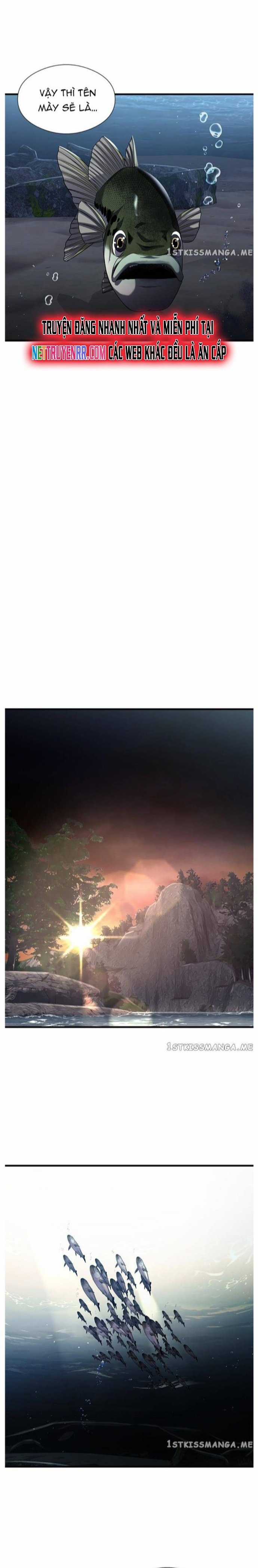 Hoá Thân Thành Cá Chapter 30 trang 11