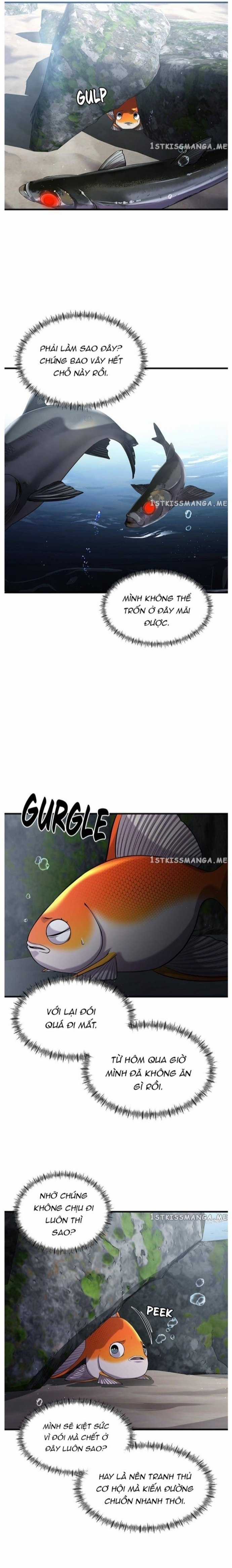 Hoá Thân Thành Cá Chapter 30 trang 14