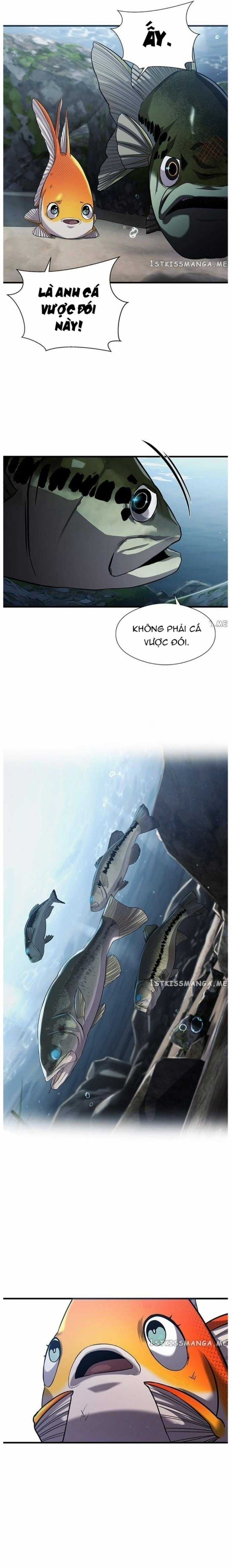 Hoá Thân Thành Cá Chapter 30 trang 21