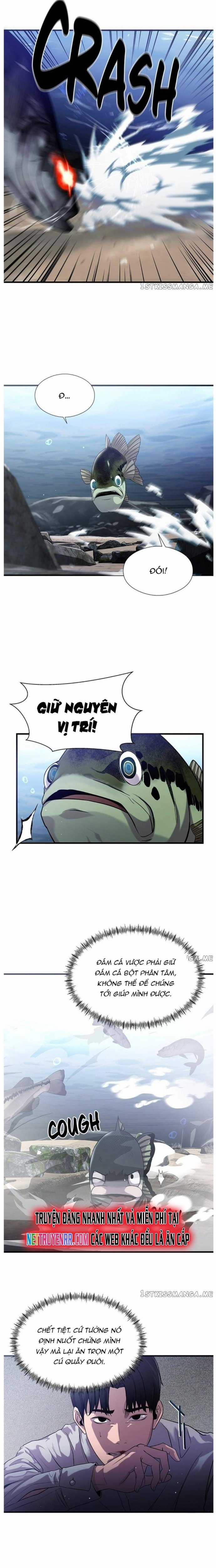 Hoá Thân Thành Cá Chapter 31 trang 10