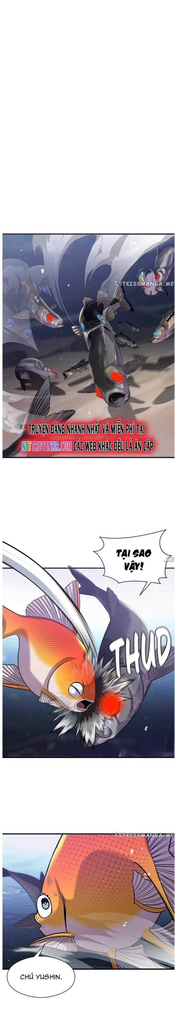 Hoá Thân Thành Cá Chapter 31 trang 16