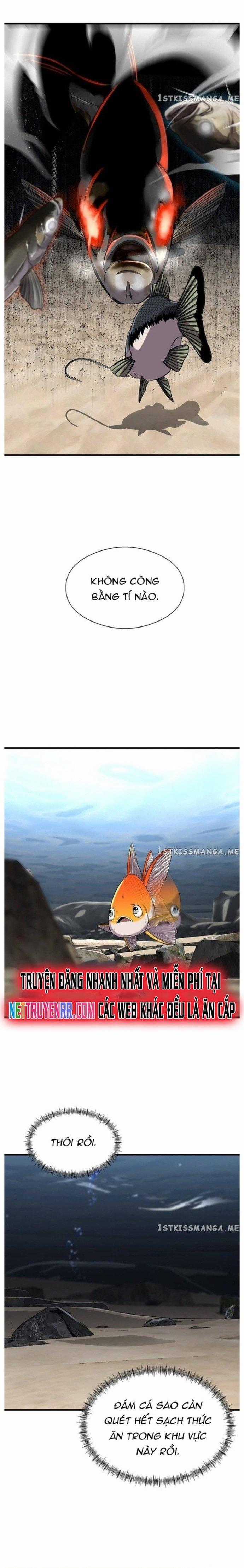 Hoá Thân Thành Cá Chapter 31 trang 22