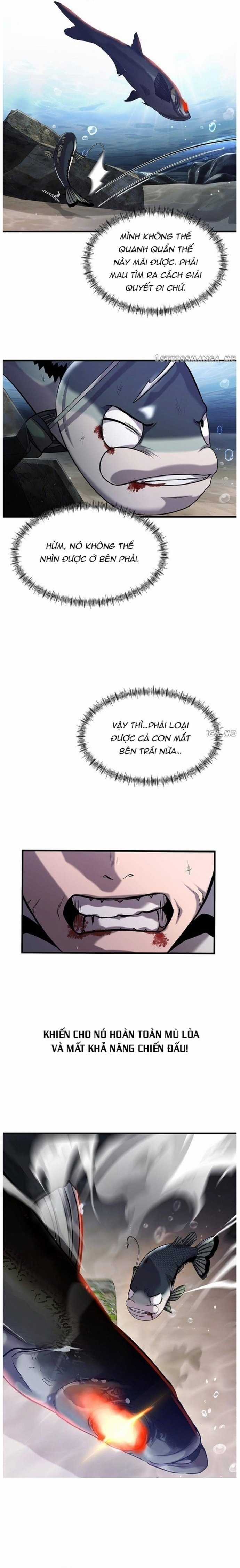 Hoá Thân Thành Cá Chapter 32 trang 14