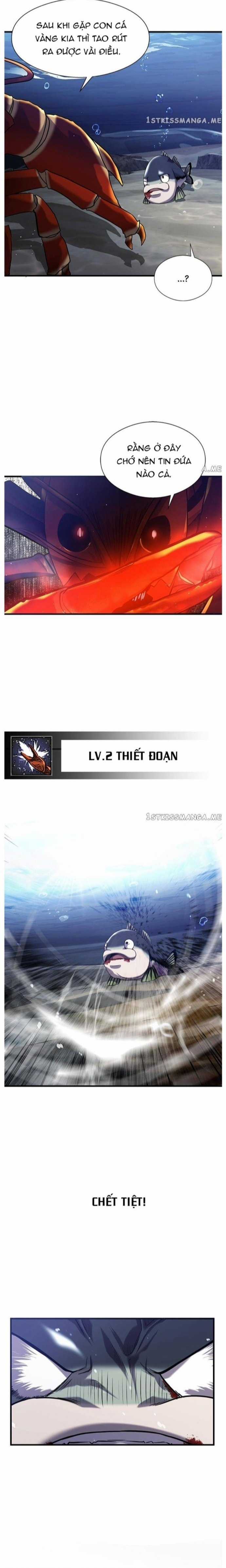 Hoá Thân Thành Cá Chapter 33 trang 11