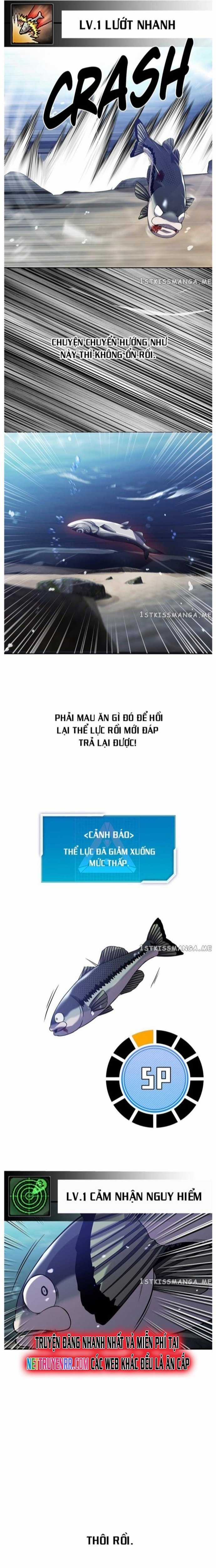 Hoá Thân Thành Cá Chapter 33 trang 12