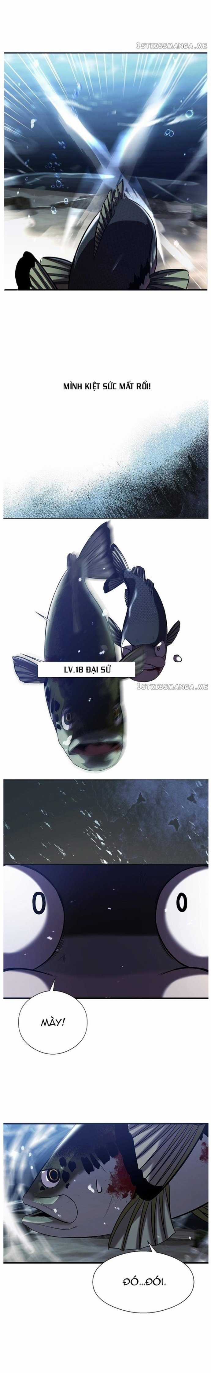 Hoá Thân Thành Cá Chapter 33 trang 13