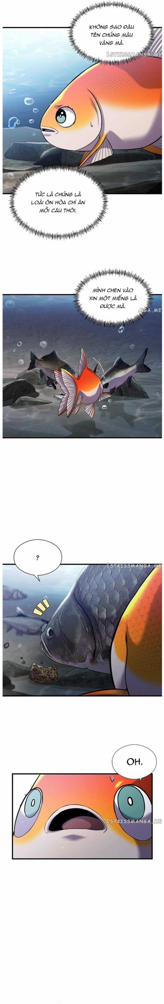 Hoá Thân Thành Cá Chapter 33 trang 5