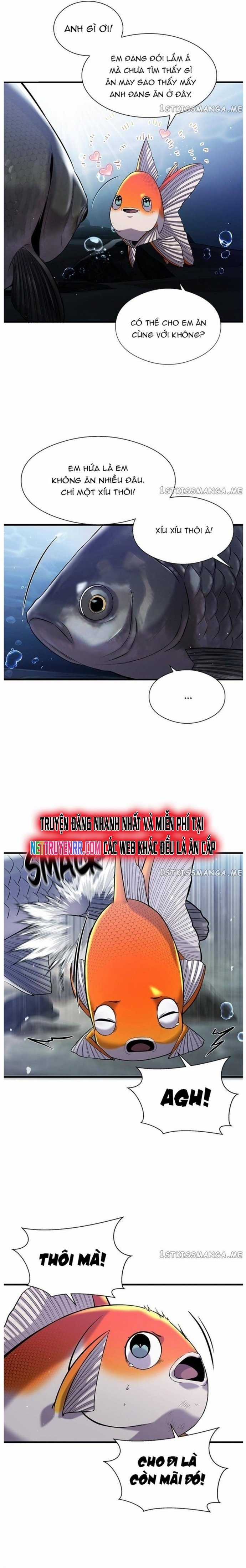 Hoá Thân Thành Cá Chapter 33 trang 6