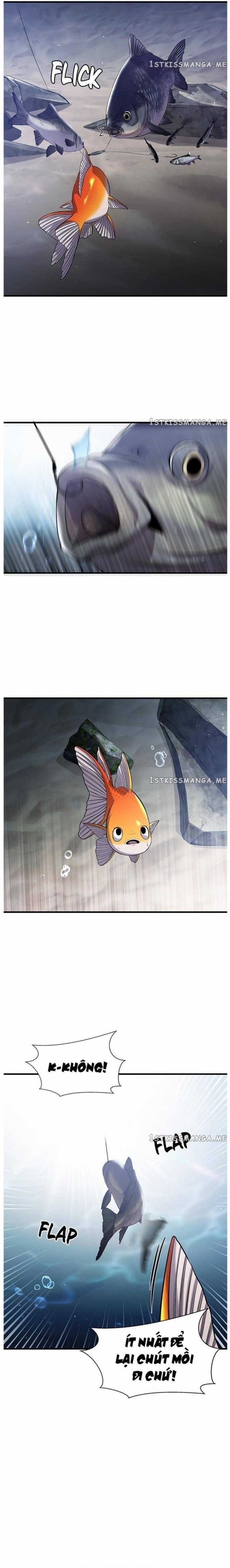 Hoá Thân Thành Cá Chapter 33 trang 7