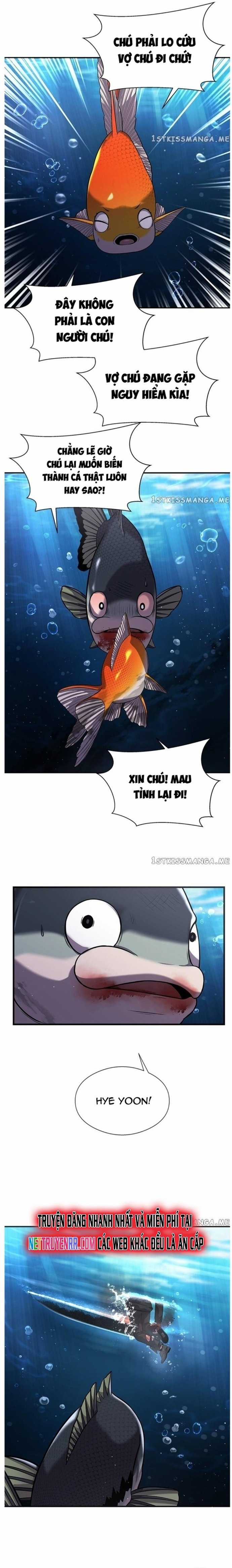 Hoá Thân Thành Cá Chapter 37 trang 13