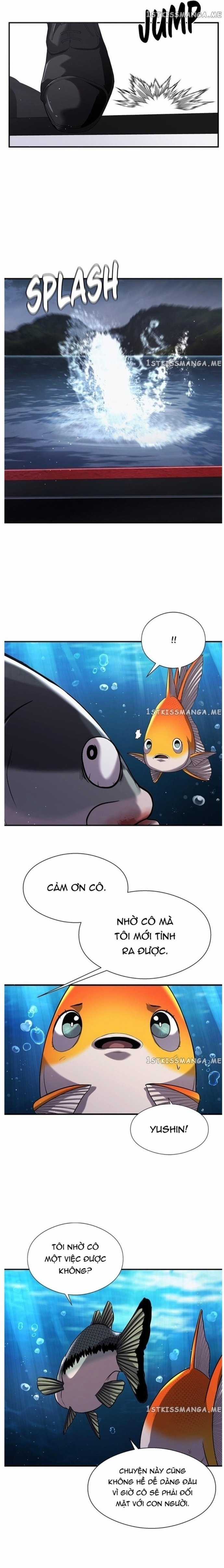 Hoá Thân Thành Cá Chapter 37 trang 14