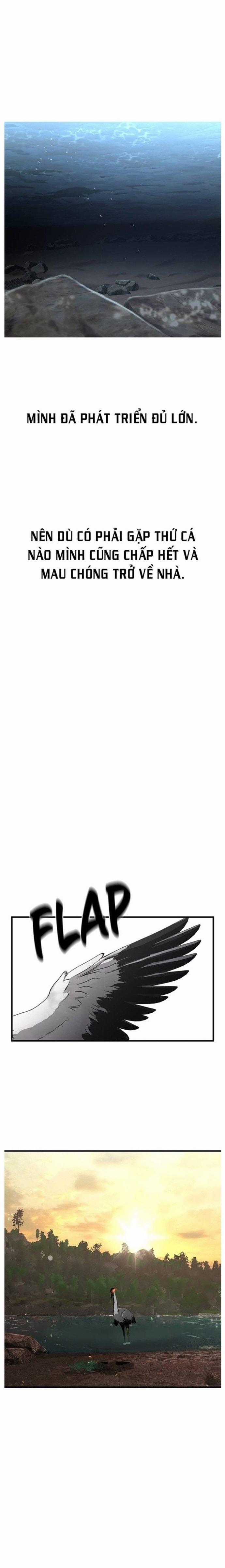 Hoá Thân Thành Cá Chapter 39 trang 20