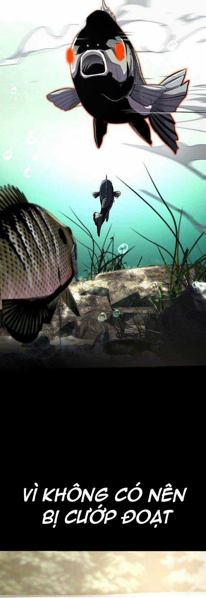 Hoá Thân Thành Cá Chapter 4 trang 29