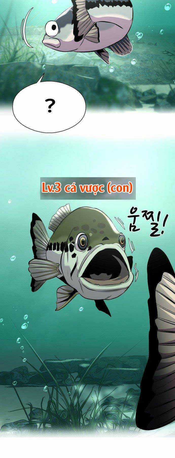 Hoá Thân Thành Cá Chapter 4 trang 46