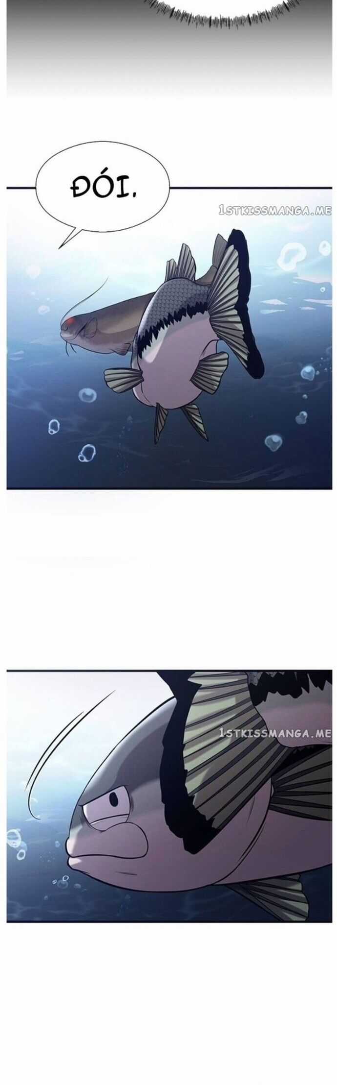 Hoá Thân Thành Cá Chapter 40 trang 13