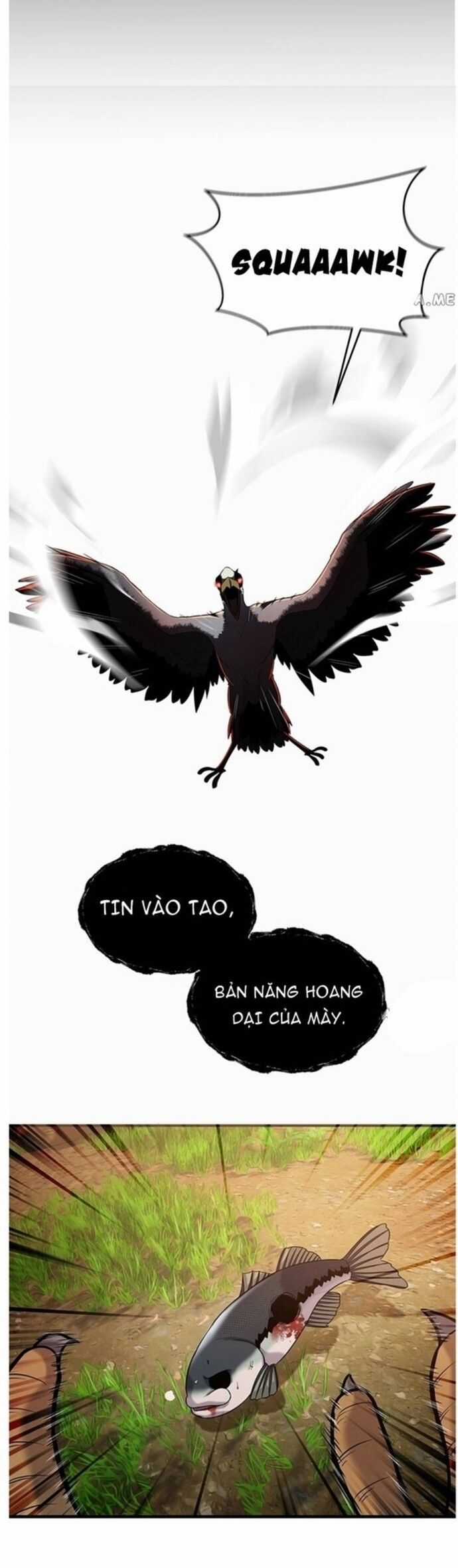 Hoá Thân Thành Cá Chapter 41 trang 11