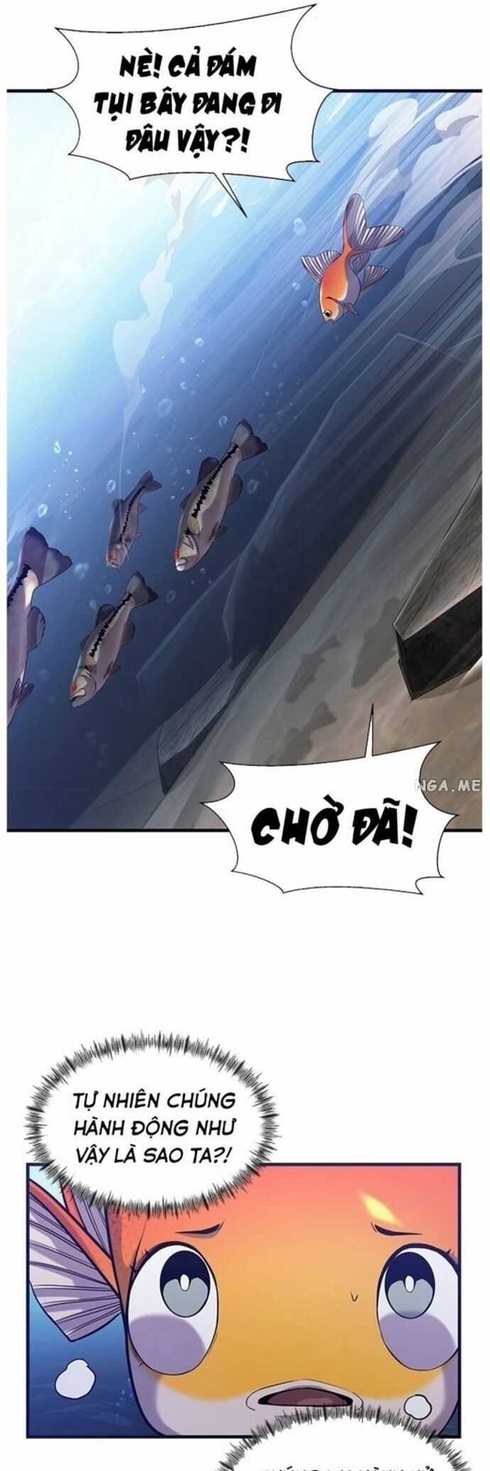 Hoá Thân Thành Cá Chapter 41 trang 35