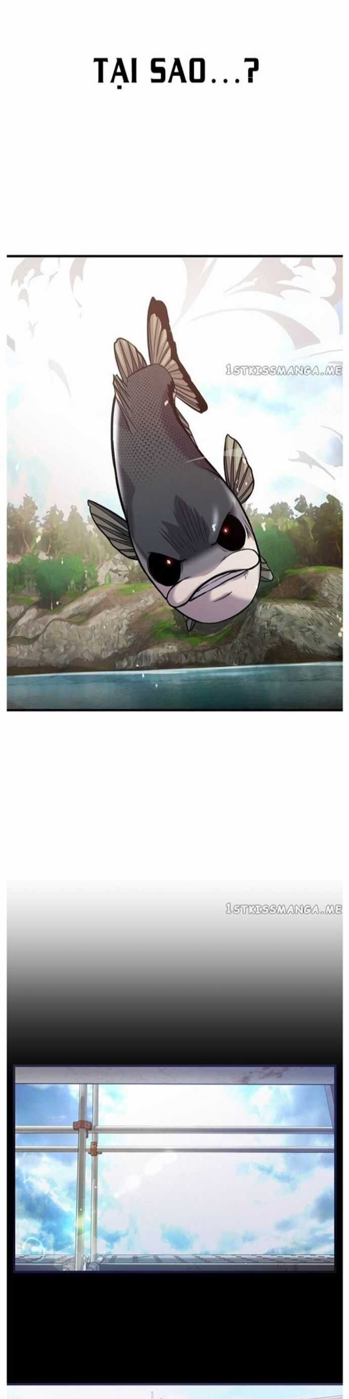 Hoá Thân Thành Cá Chapter 42 trang 16