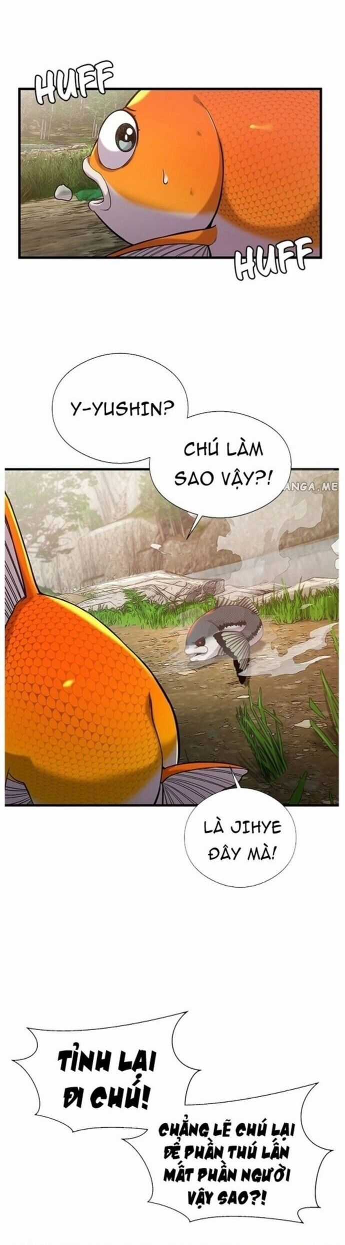 Hoá Thân Thành Cá Chapter 43 trang 16