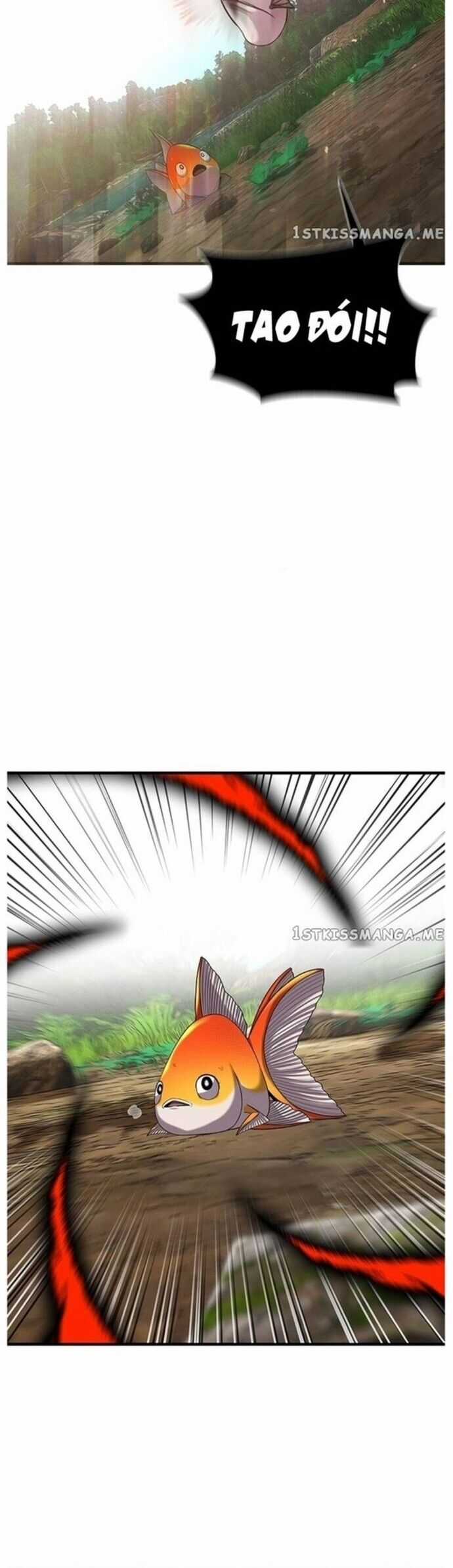 Hoá Thân Thành Cá Chapter 43 trang 18