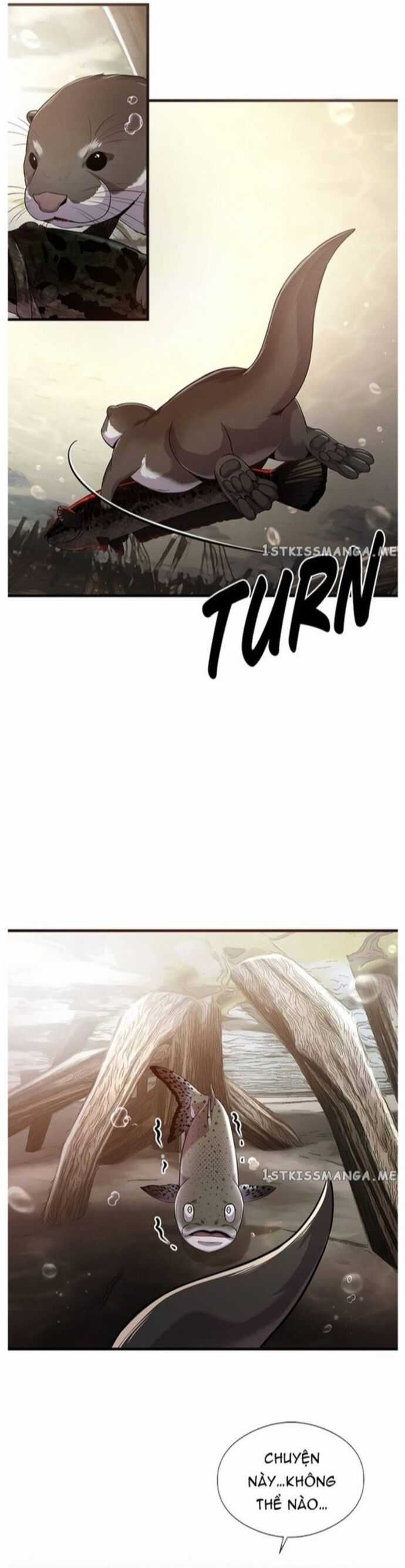 Hoá Thân Thành Cá Chapter 43 trang 2