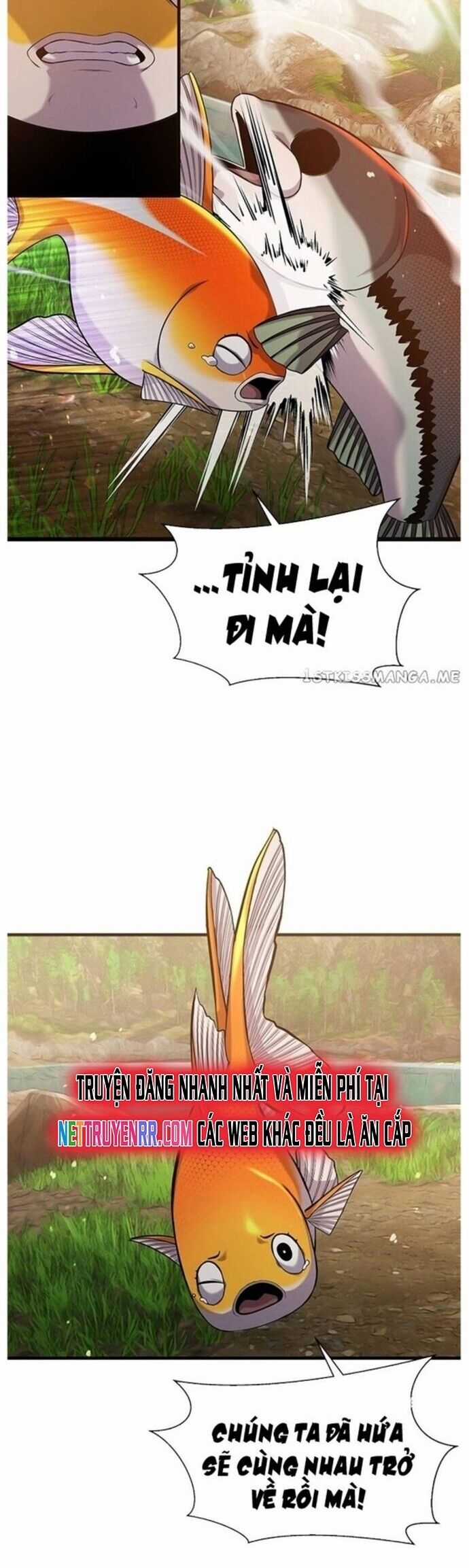 Hoá Thân Thành Cá Chapter 43 trang 20