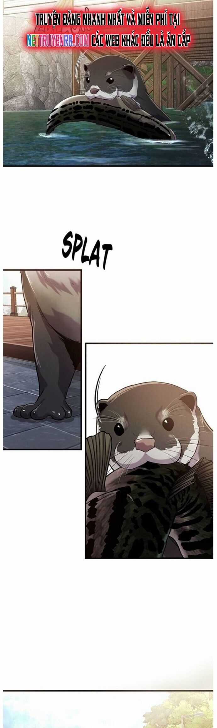 Hoá Thân Thành Cá Chapter 43 trang 6