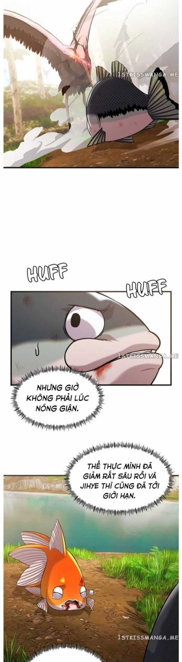 Hoá Thân Thành Cá Chapter 44 trang 16