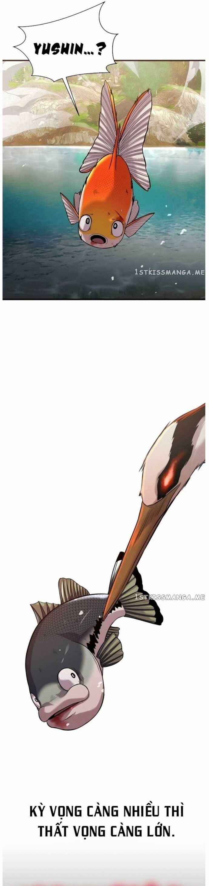 Hoá Thân Thành Cá Chapter 44 trang 26