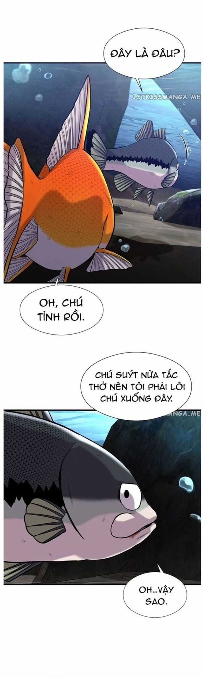 Hoá Thân Thành Cá Chapter 46 trang 31