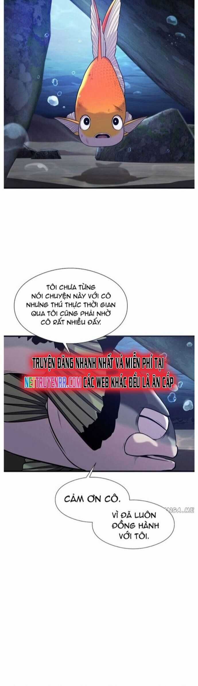 Hoá Thân Thành Cá Chapter 46 trang 35