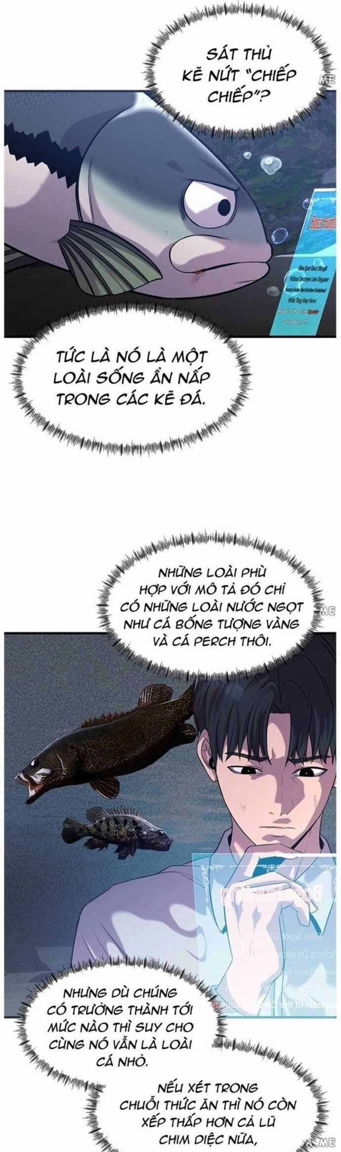 Hoá Thân Thành Cá Chapter 47 trang 31